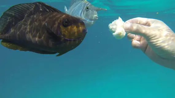 Ayaana Lodge | Maldivler - Kaafu Atoll - Huraa