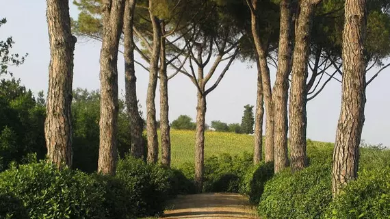 Agriturismo Il Parco di Kipo | Marche - Macerata (vilayet) - Montefano