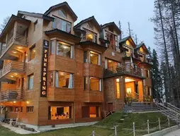 Hotel Pine Spring Gulmarg | Cammu ve Keşmir - Srinagar (ve civarı) - Gulmarg