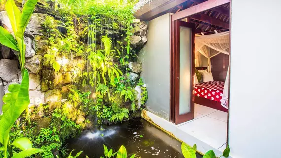 Bali Harmony Villas | Bali - Ubud