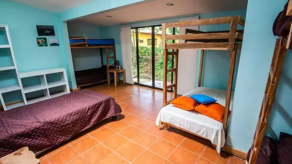 La Casona Hostel | Guanacaste - Coco