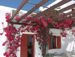 Villa Vasilis | Ege Adaları - Mikonos