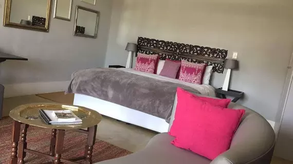 Moonstruck on Pringle Bay Guesthouse | Western Cape (il) - Overberg District Municipality - Overstrand - Stanford - Greater Hermanus