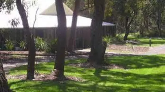 Port Stephens Treescape Camping | New South Wales - Port Stephens (ve civarı) - One Mile