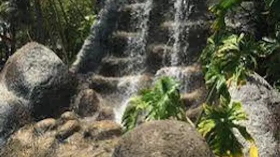 Hotel Coral Reef | Hawaii - Kapaa