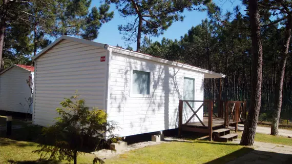 Orbitur Vagueira Bungalows Caravan Park | Centro - Aveiro Bölgesi - Vagos