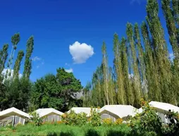 Hotel Mystique Meadows Camp | Cammu ve Keşmir - Leh