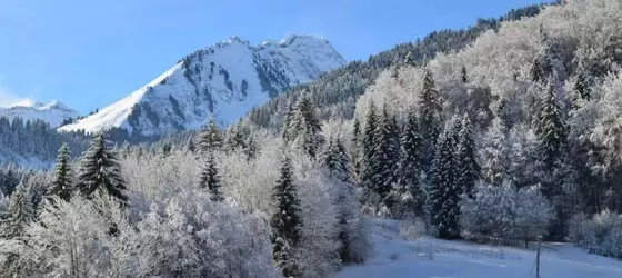 Les Touristes | Auvergne-Rhone-Alpes - Haute-Savoie (bölge) - Abondance