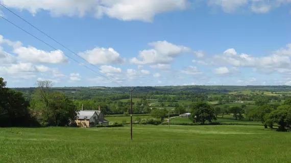 Wooden Cabbage House | Dorset (kontluk) - Purbeck District - Dorchester