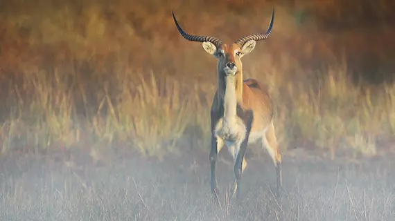 Bona Bona Game Lodge | Kuzeybatı (il) - Maquassi Hills