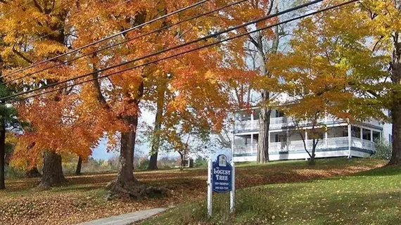 Locust Tree Bed and Breakfast | Connecticut - Torrington (ve civarı) - Canaan