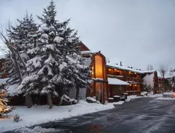 Marina Resort | Kaliforniya - San Bernardino County - Big Bear Gölü (ve civarı) - Big Bear Lake