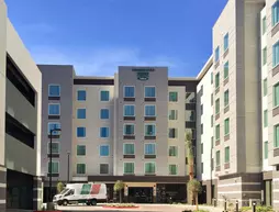 Homewood Suites by Hilton Las Vegas City Center | Nevada - Clark County - Las Vegas (ve civarı) - Las Vegas - Paradise