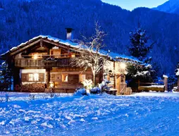 Bruggerhof | Tirol - Schwaz District - Schwaz (ve civarı) - Mayrhofen