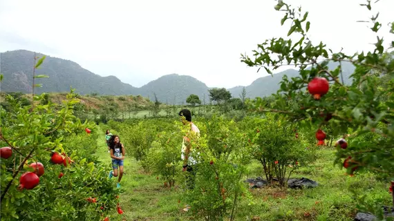 Harvest Fresh Farms | Kerala - Idukki Bölgesi - Thekkady