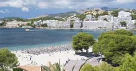 Apartamentos Delfin Casa Vida | Balearic Adaları - Mayorka Adası - Calvia - Santa Ponsa