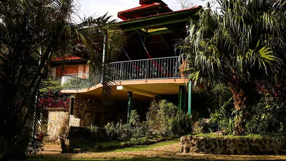 The Golden Frog Inn | Cocle - El Valle de Anton