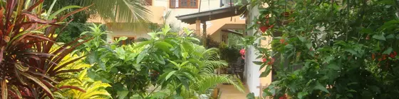 Beach Lagoon Guesthouse | Southern Province - Hambantota Bölgesi - Tangalle