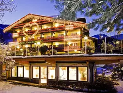 Aktiv- und Wellnesshotel Haidachhof | Tirol - Schwaz District - Schwaz (ve civarı) - Fuegen