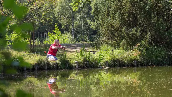 Oostappen Vakantiepark Zilverstrand | Flaman Bölgesi - Antwerp İli - Mol