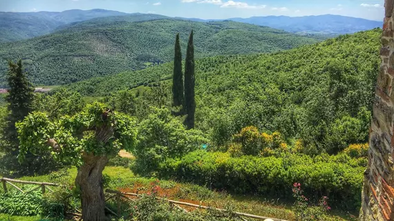 Forte Di Tregognano | Toskana - Arezzo (vilayet) - Subbiano