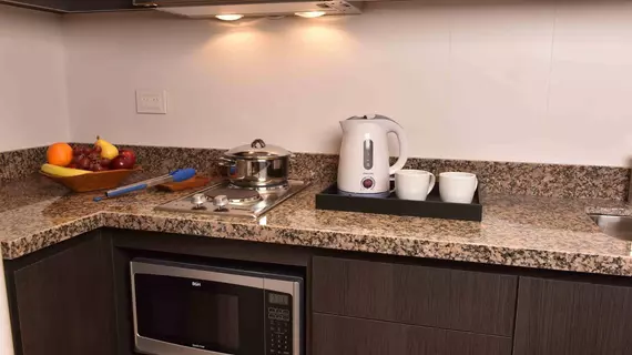 Arc Arenales Studios and Suites | Buenos Aires (ili) - Buenos Aires (ve civarı) - Buenos Aires - Recoleta