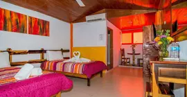 Hotel El Hormiguero | Quintana Roo - Solidaridad - Playa del Carmen - Centro