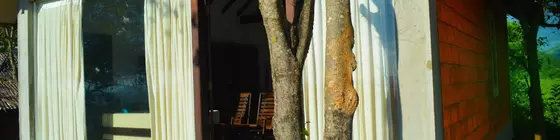 Dambale Boutique Chalets | Merkez Vilayet - Matale Bölgesi - Dambulla