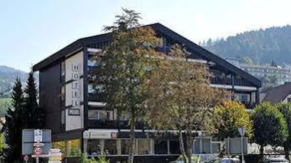 Hotel Pflug | Baden-Wuerttemberg - Ortenaukreis - Ottenhofen im Schwarzwald