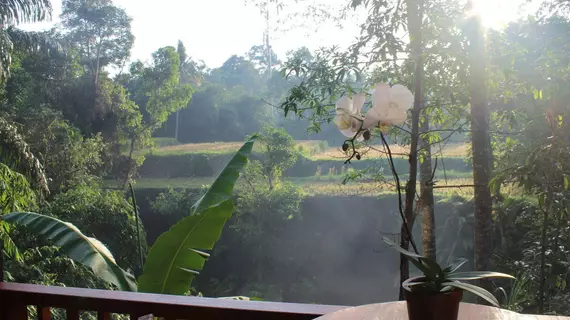 Alam Dania Cottage | Bali - Ubud - Petulu