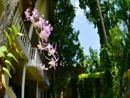 Sea Breeze Guest House | Southern Province - Galle Bölgesi - Unawatuna