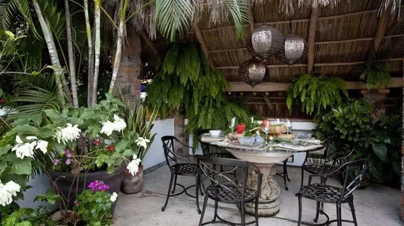 Casa Hortencias | Nayarit - Bahía de Banderas - Puerto Vallarta (ve civarı) - Puerto Vallarta