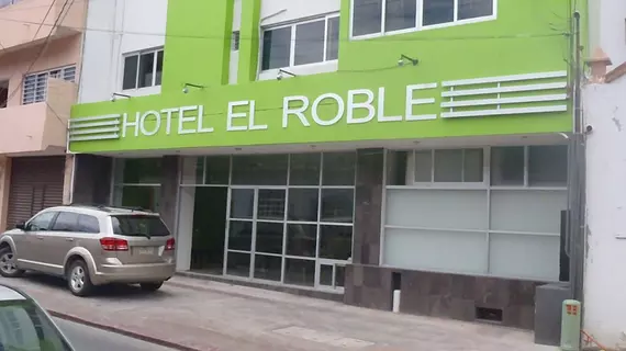 Hotel El Roble | Chiapas - Tuxtla Gutierrez (ve civarı) - Tuxtla Gutierrez