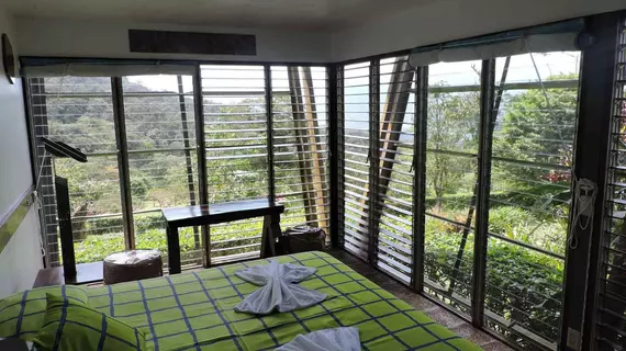 Celeste Mountain Lodge | Alajuela (ili) - Katira