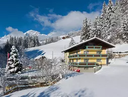 Haus Elisabeth | Salzburg (eyalet) - Sankt Johann im Pongau - Muehlbach Am Hochkoenig - Muehlbach im Pinzgau