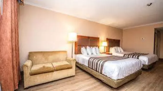 Best Western Plus Ottawa City Centre | Ontario - Ottawa (ve civarı) - Ottawa