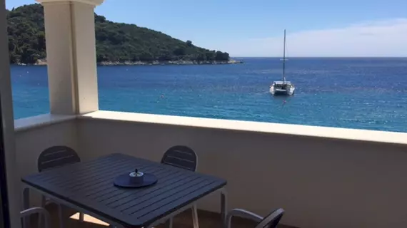 Boutique Pine Tree apartments | Dubrovnik-Neretva - Mljet - Saplunara