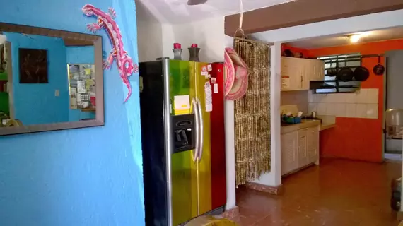 Mayan Hostel | Quintana Roo - Benito Juárez - Cancun (ve civarı) - Cancun - Cancun Merkezi