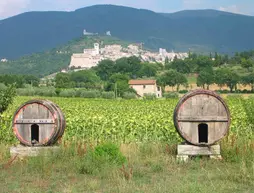 Hotel La Quiete | Umbria - Perugia (vilayet) - Assisi