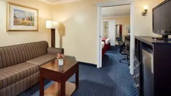 Ramada by Wyndham Anaheim Convention Center | Kaliforniya - Orange County - Anaheim - Anaheim Resort