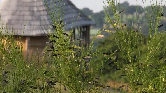 Terragora Lodges | Pays de la Loire - Vendee (bölüm) - Les Epesses