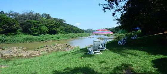 Pines Hut | Merkez Vilayet - Kandy Bölgesi - Kandy