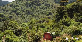 Vista Verde Lodge | Guanacaste - Tronadora