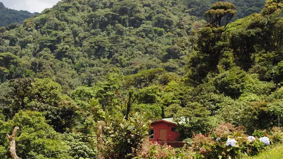 Vista Verde Lodge | Guanacaste - Tronadora