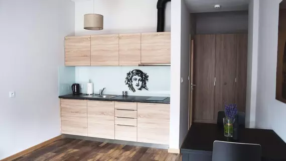 Wine Apartments | Küçük Polonya Voyvodalığı - Krakow (ve civarı) - Krakow