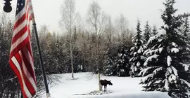 Fairbanks Moose Manor Bed and Breakfast | Alaska - Fairbanks (ve civarı) - Fairbanks