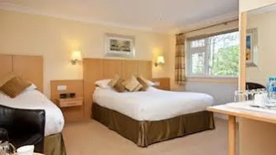 Lingwood Lodge | Cumbria (kontluk) - Windermere