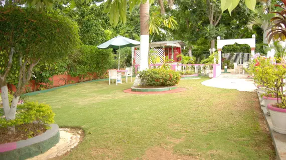 PinkHibiscus Guest House | Saint James - Montego Körfezi (ve civarı) - Montego Bay