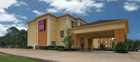 COMFORT SUITES SHREVEPORT | Louisiana - Bossier Parish - Shreveport (ve civarı) - Shreveport