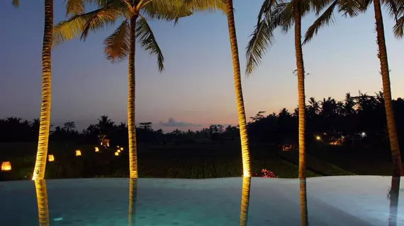 Mathis Retreat | Bali - Ubud - Kedewatan